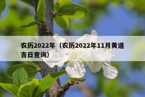 农历2022年（农历2022年11月黄道吉日查询）